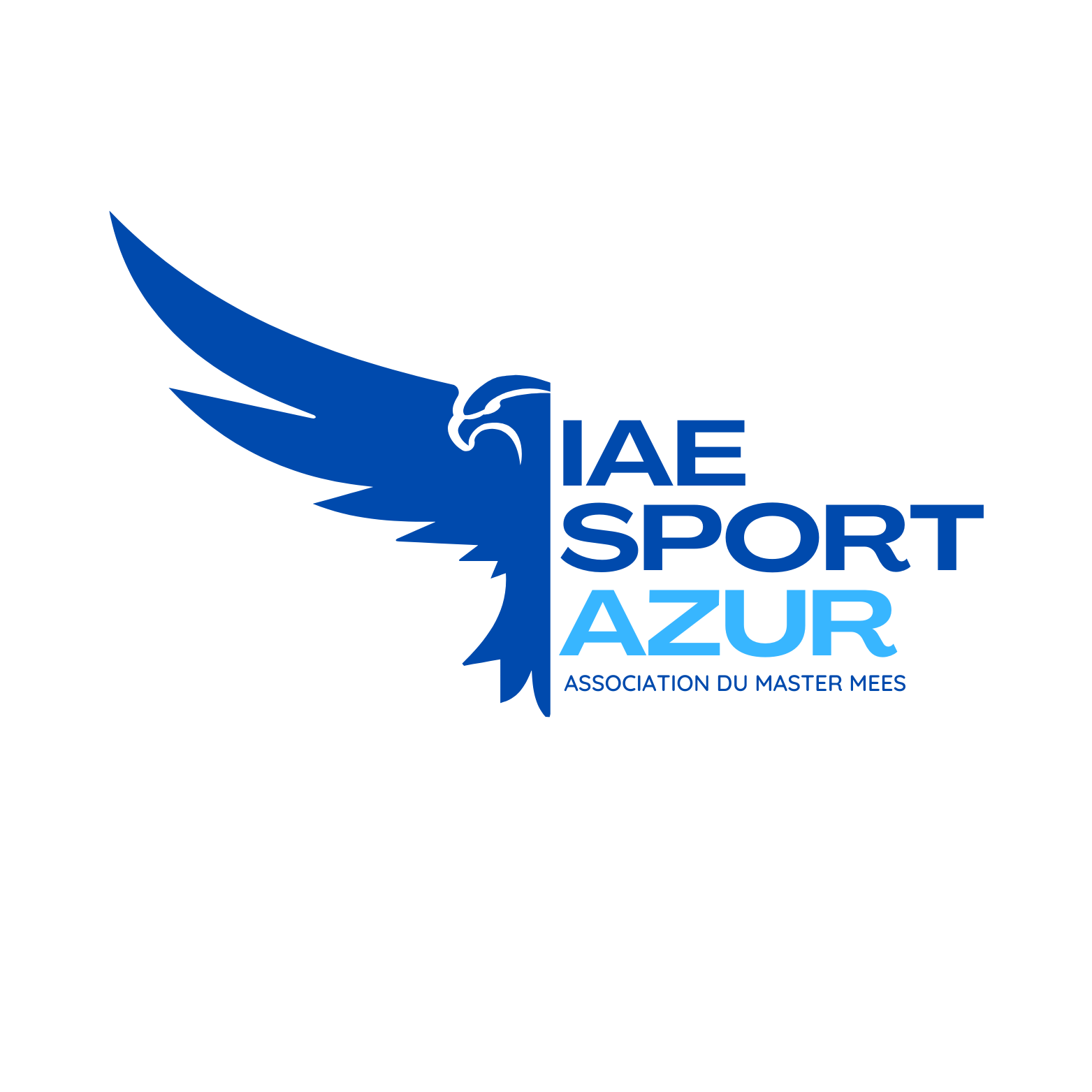 IAE Sport Azur